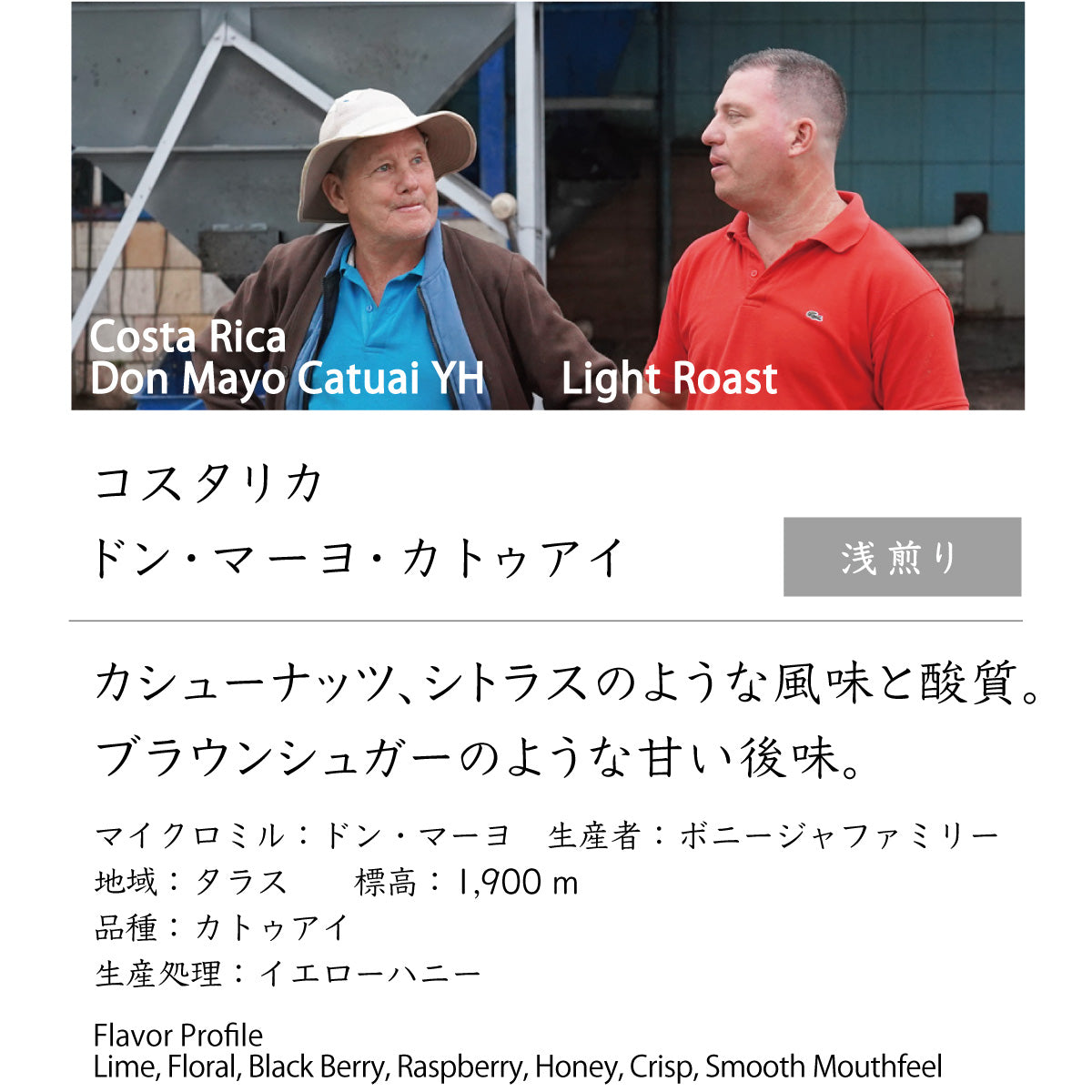 コスタリカ ドン・マーヨ・カトゥアイ