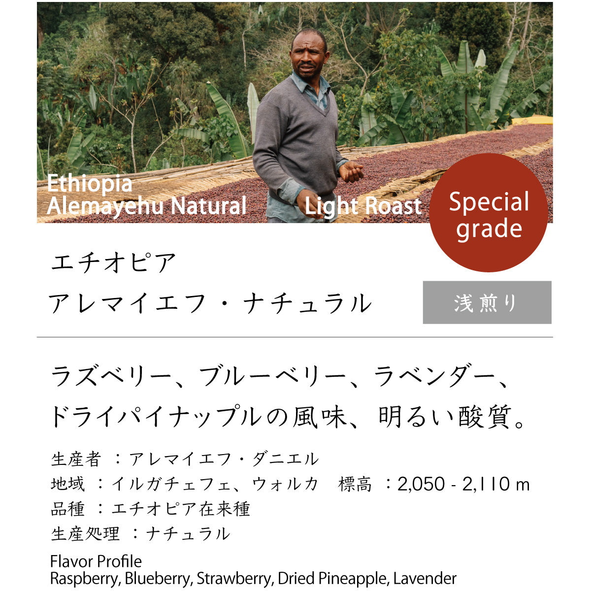 エチオピア アレマイエフ・ナチュラル