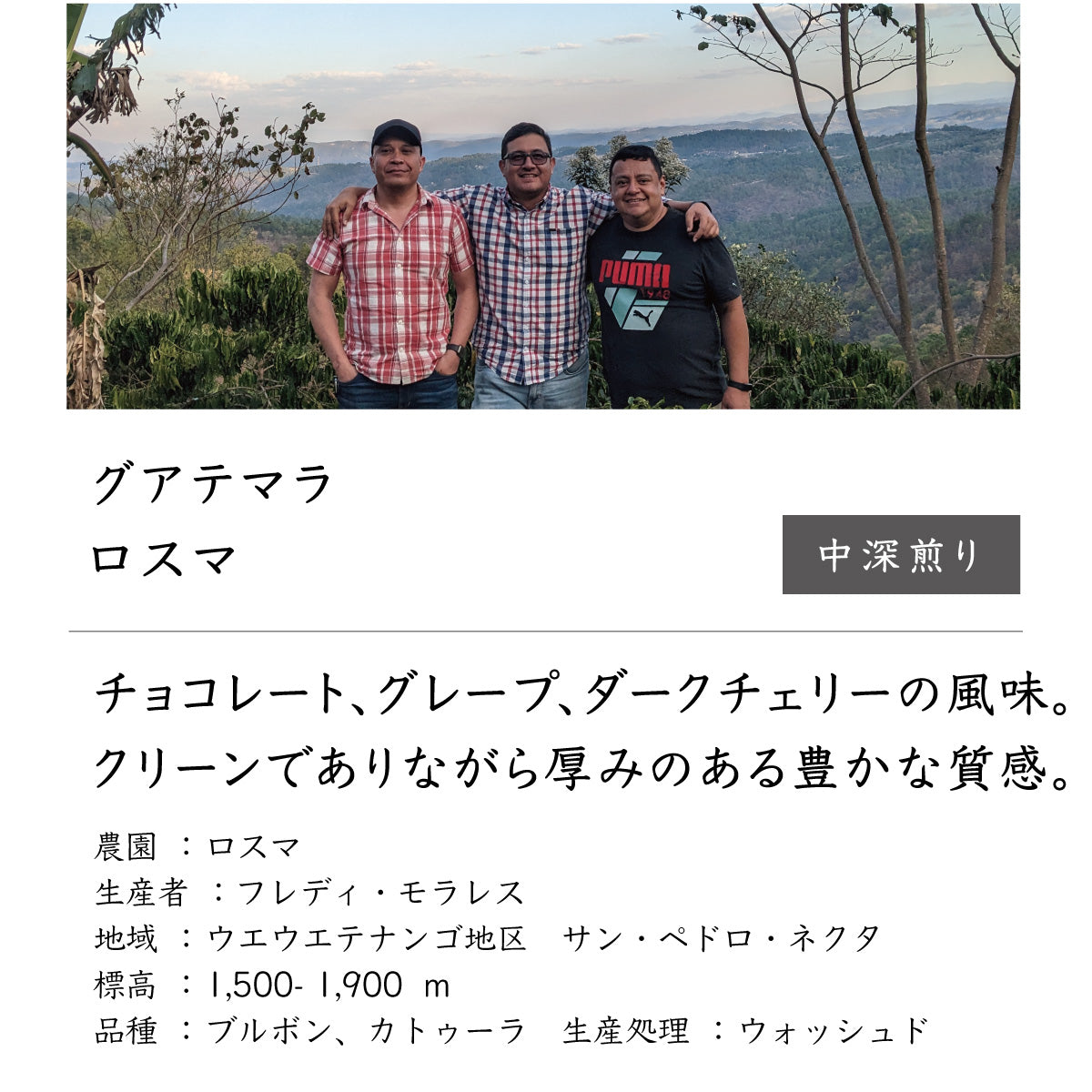 グアテマラ ロスマ