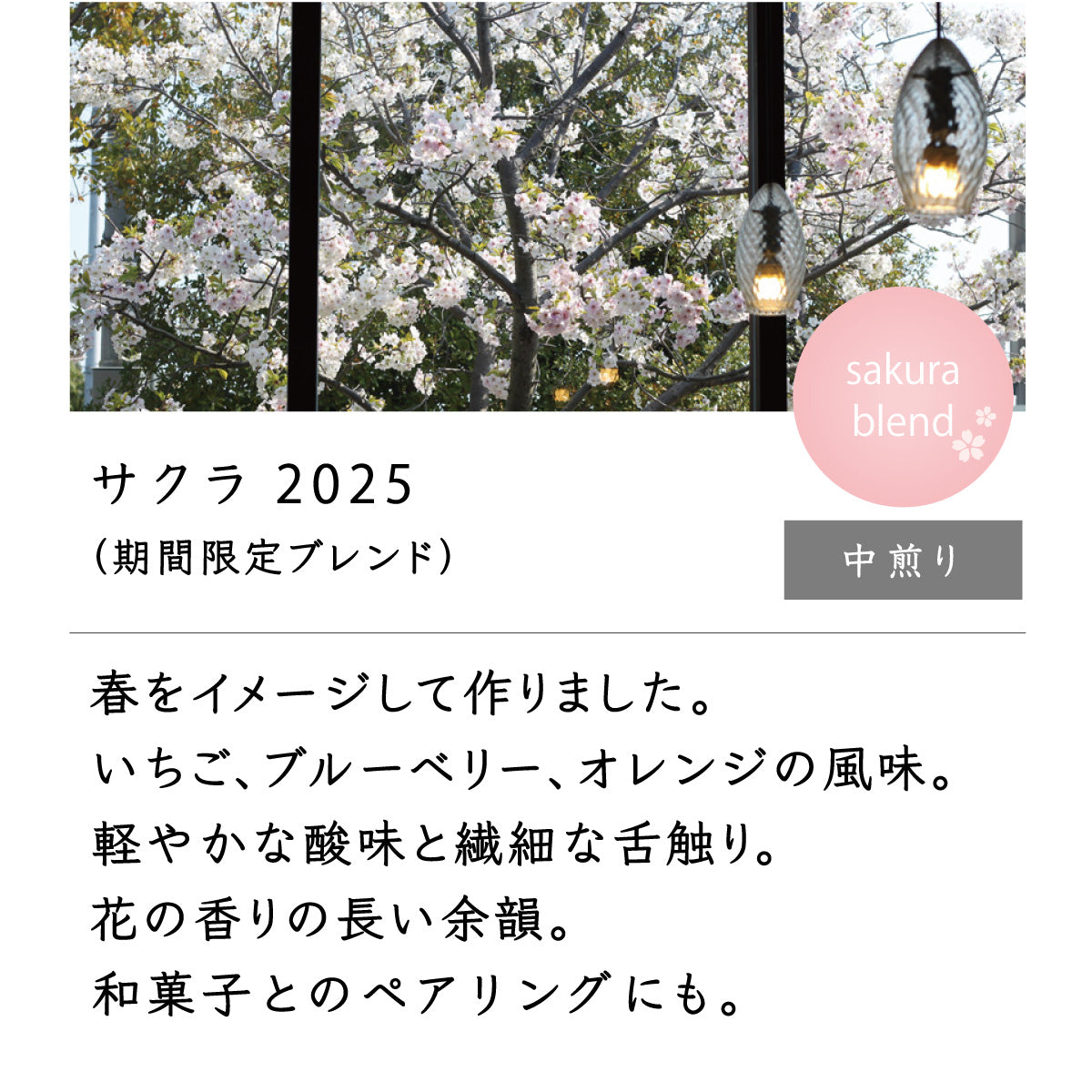 サクラ2025