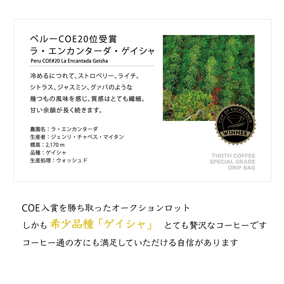 品評会入賞銘柄入り 特級コーヒーギフト S