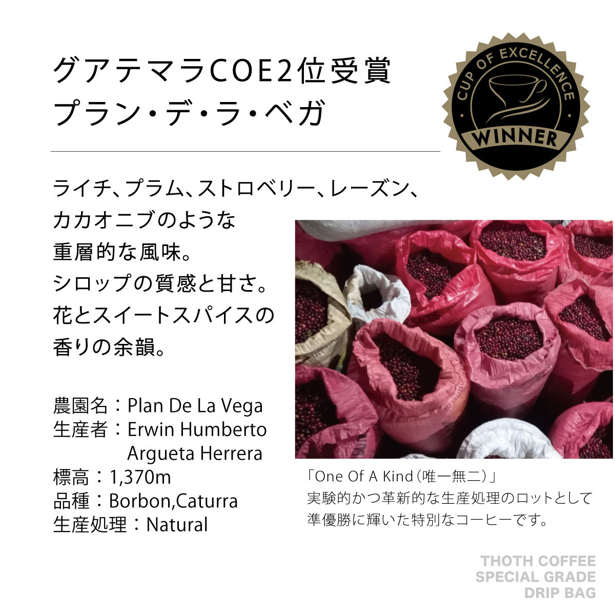 品評会受賞 特級コーヒーギフト S