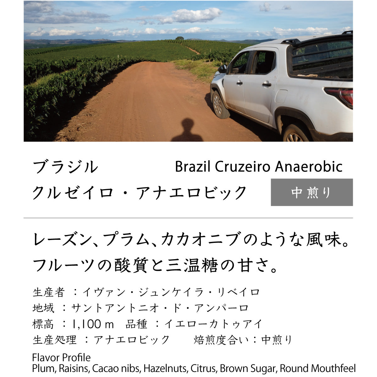 ブラジル　クルゼイロ・アナエロビック