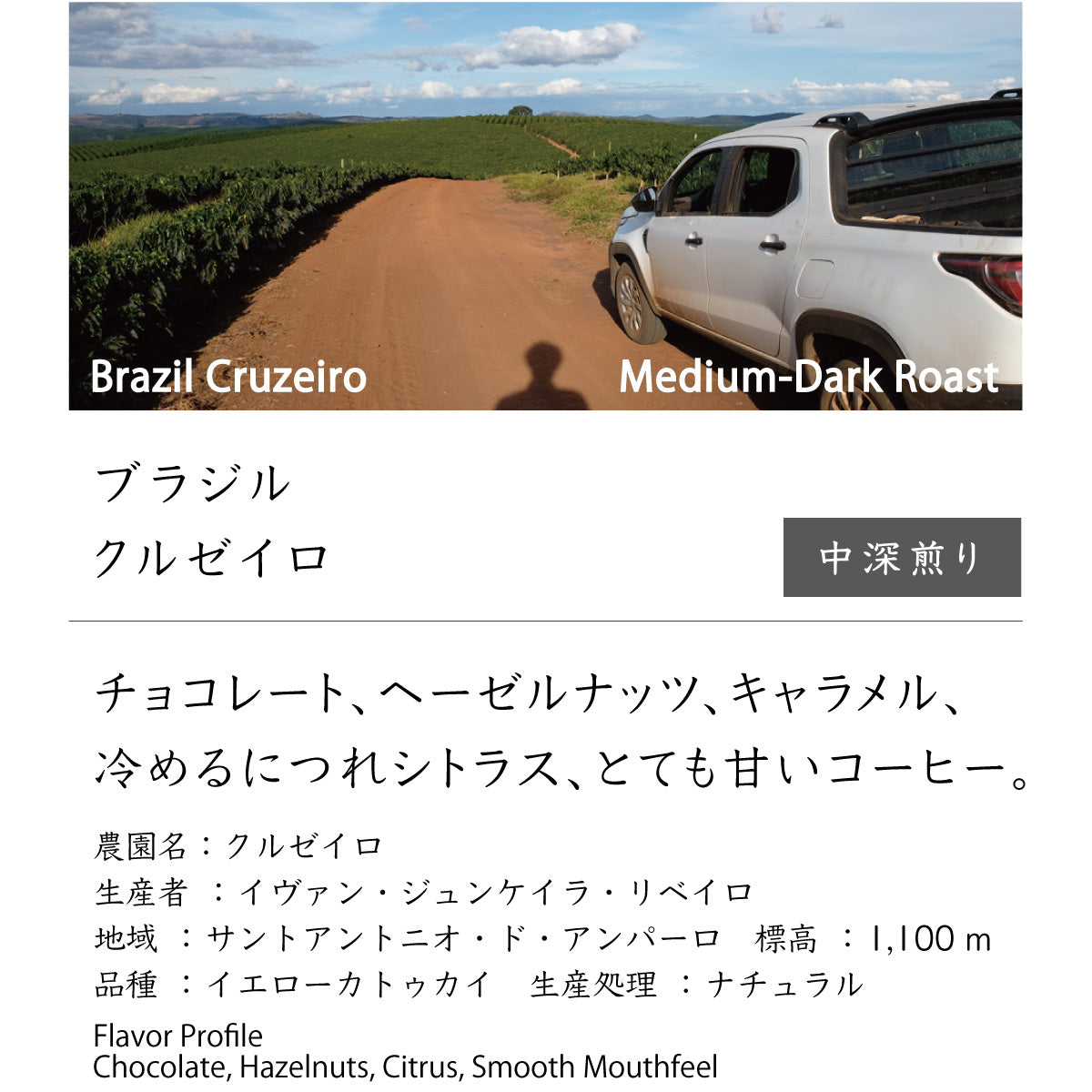 ブラジル　クルゼイロ