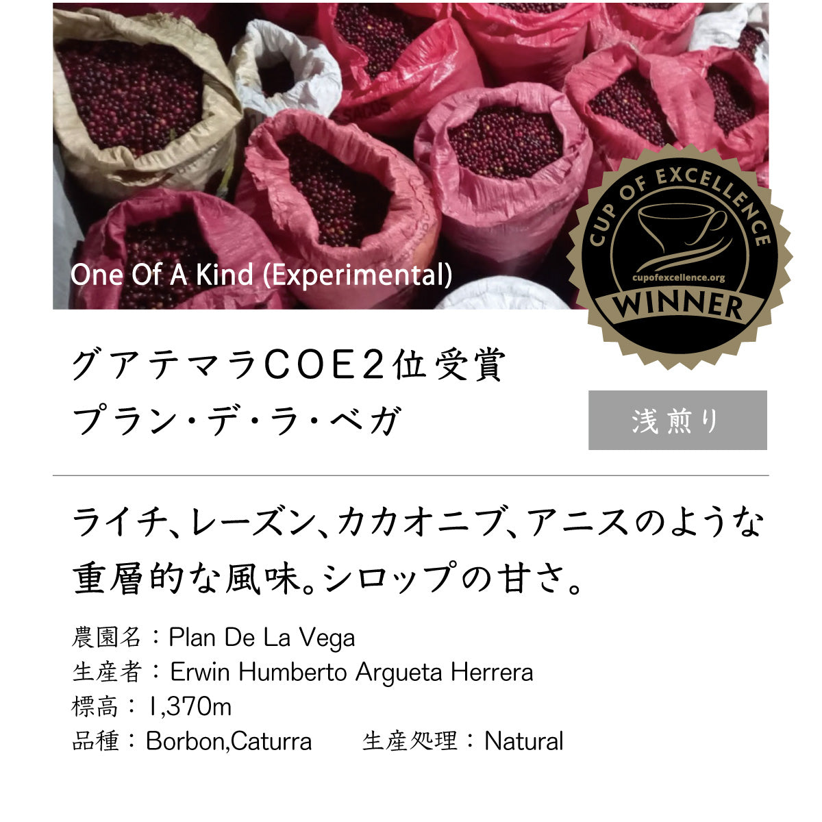 グアテマラ COE 2位受賞 プラン・デ・ラ・ベガ