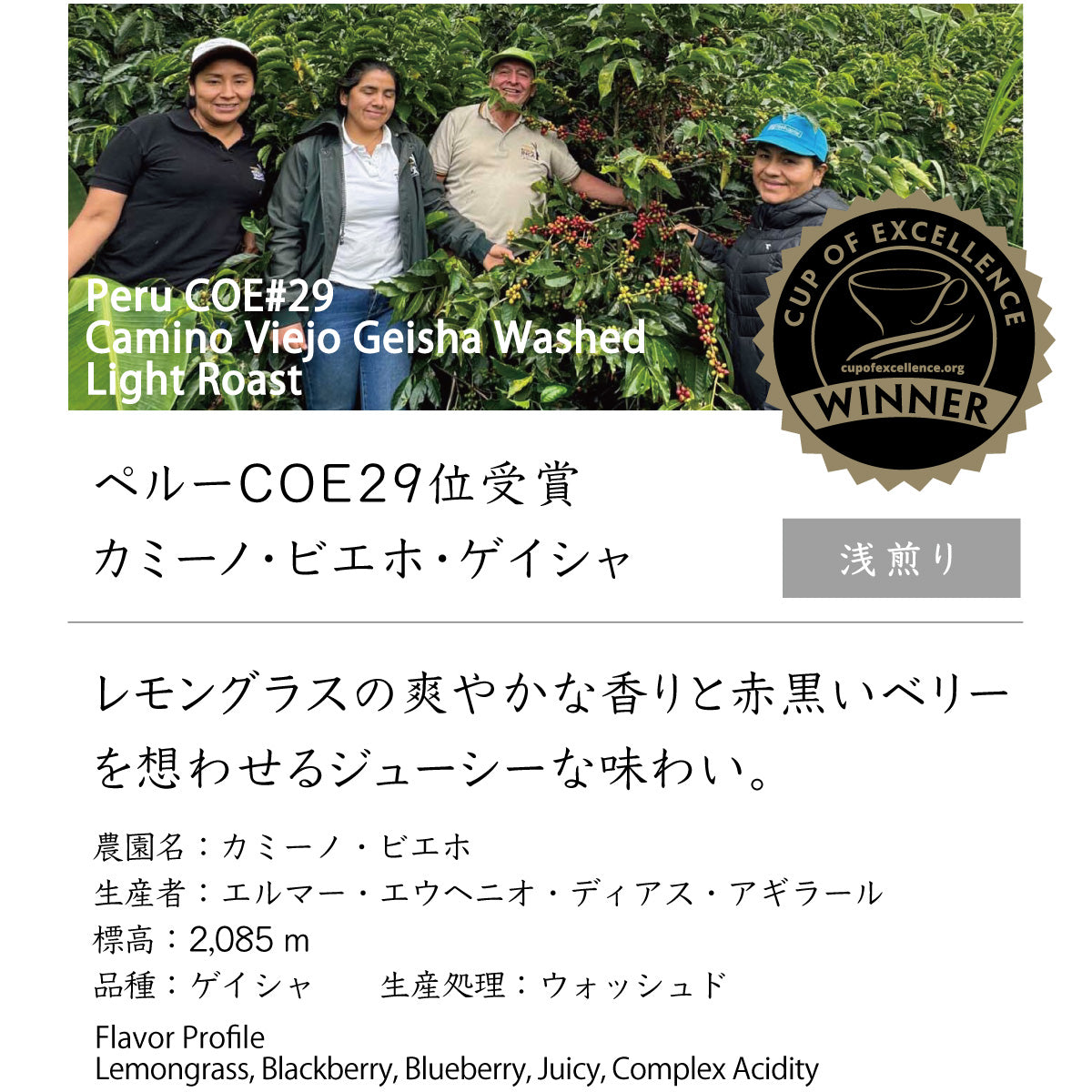 ペルー COE29位受賞カミーノ・ビエホ・ゲイシャ