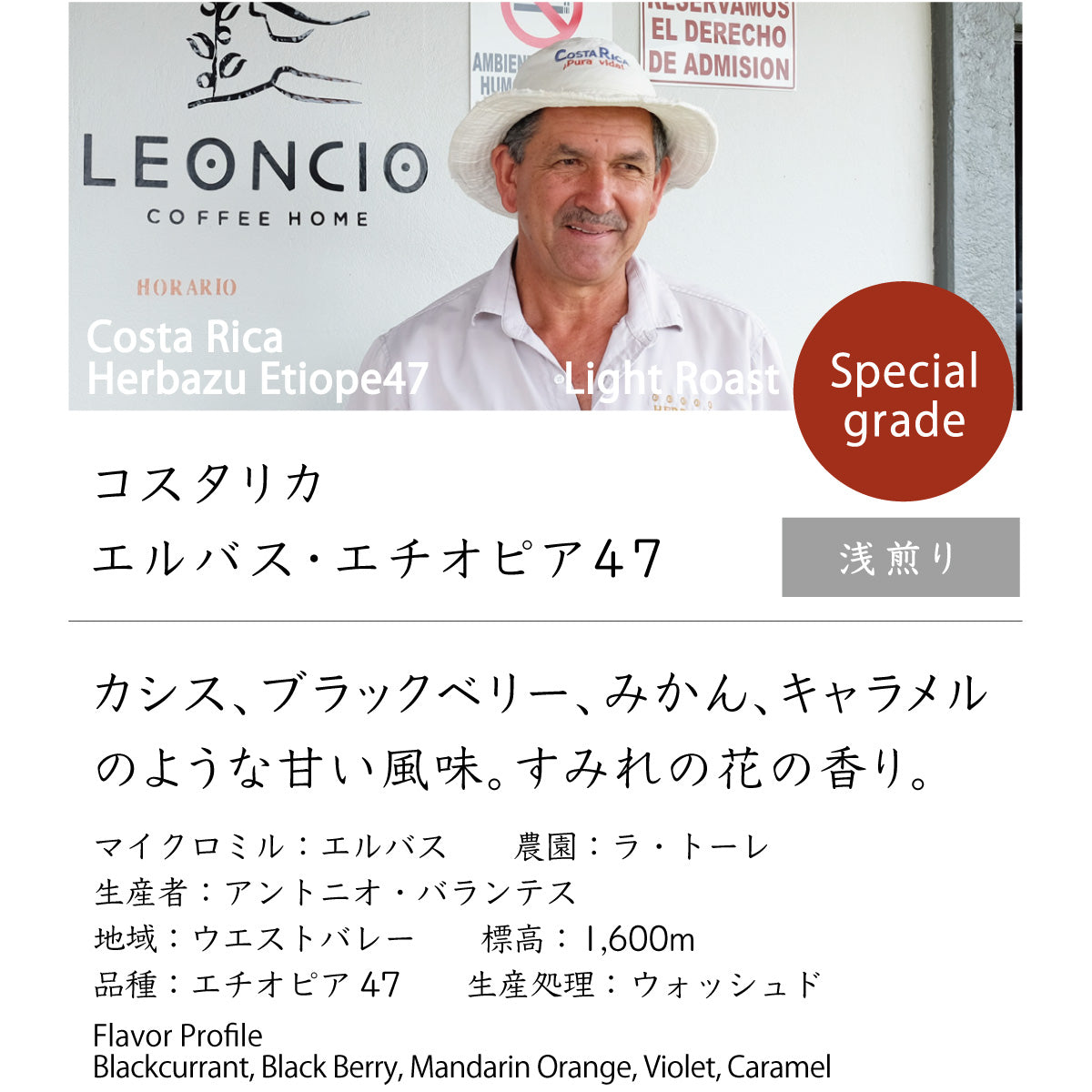 コスタリカ　エルバス・エチオピア47