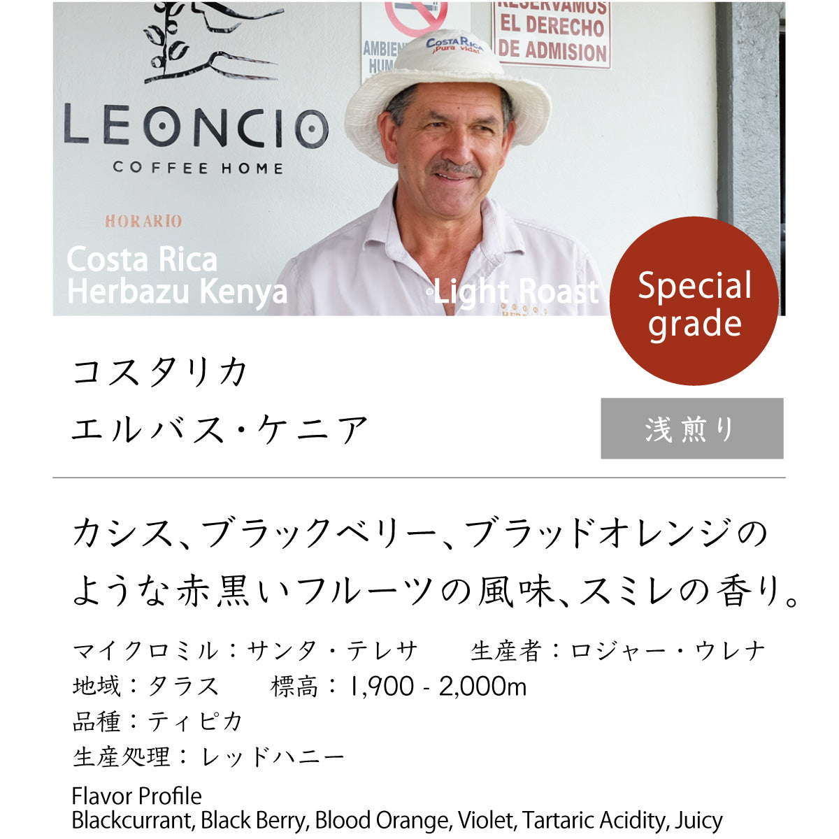 コスタリカ　エルバス・ケニア