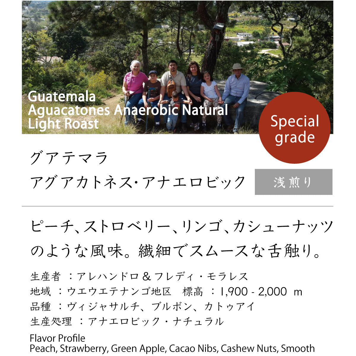 グアテマラ　アグアカトネス・アナエロビック