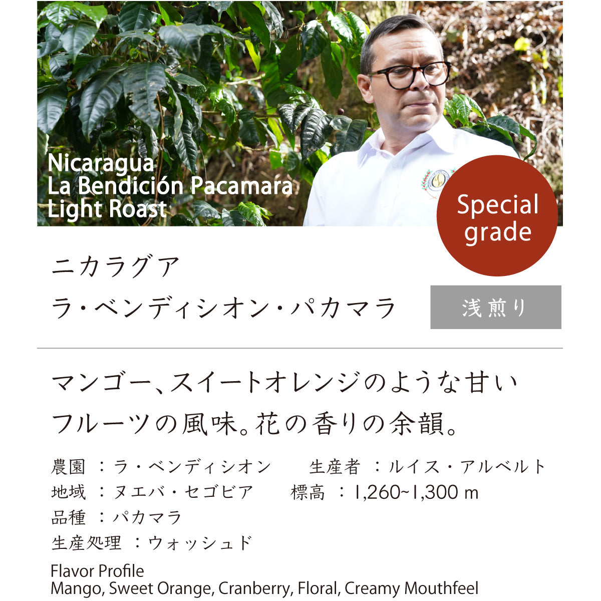 ニカラグア　ラ・ベンディシオン・パカマラ