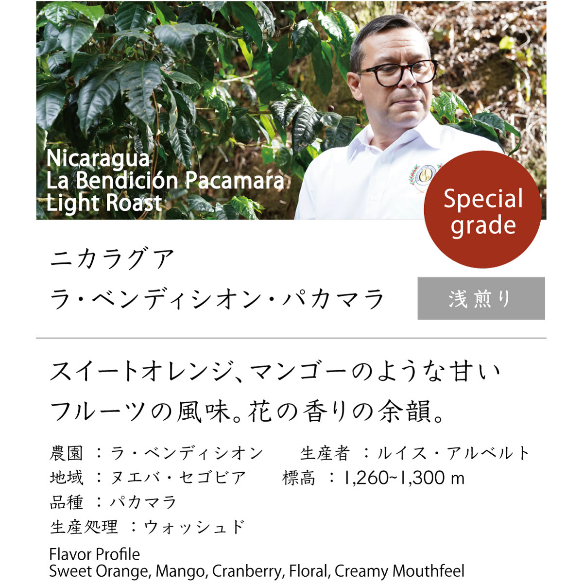 ニカラグア　ラ・ベンディシオン・パカマラ