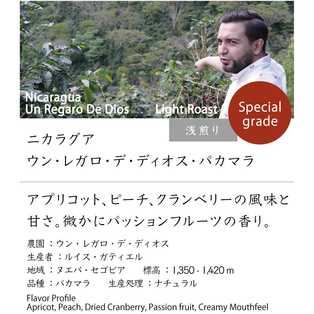 ニカラグア　ウン・レガロ・デ・ディオス・パカマラ