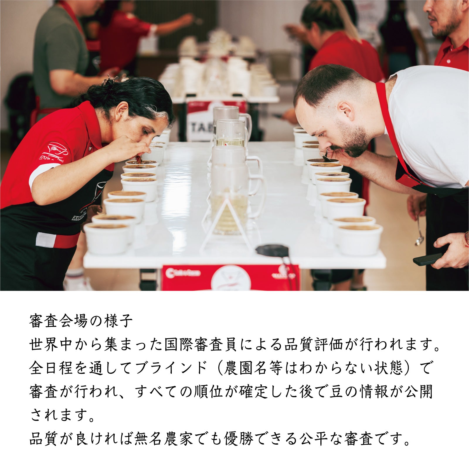 品評会入賞銘柄入り 特級コーヒーギフト S