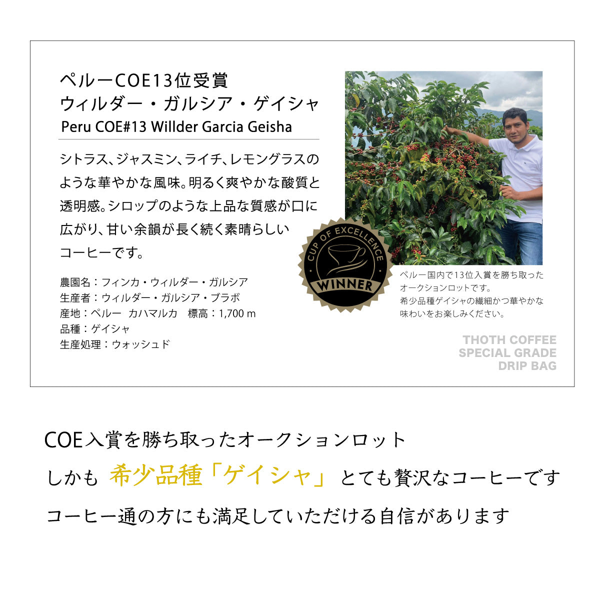 品評会入賞銘柄入り 特級コーヒーギフト L
